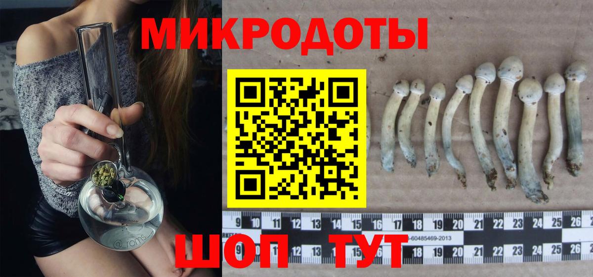 Соль-Илецк  Галлюциногенные грибы мицелий  Псилоцибиновые грибы Psilocybe  Вход с VPN 